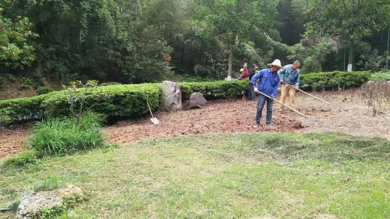 室外植物墙，养护比设计更考验功夫