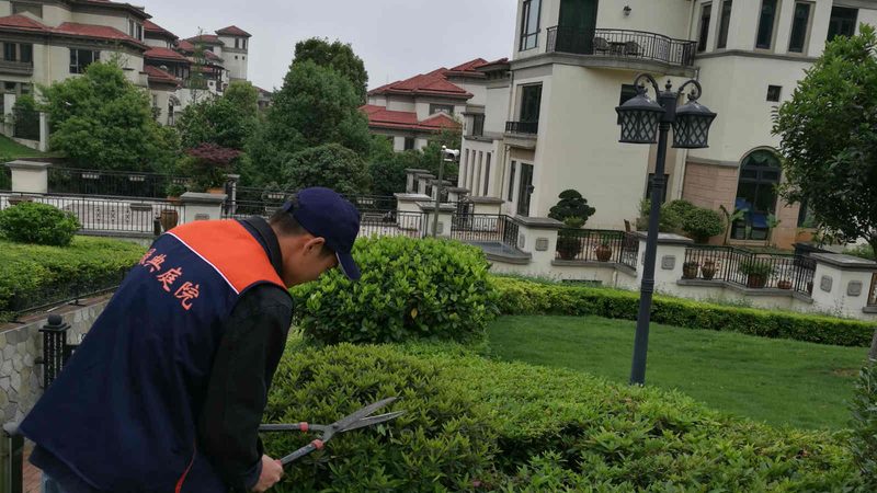 市政绿化工程招标公告，你真的看懂了吗