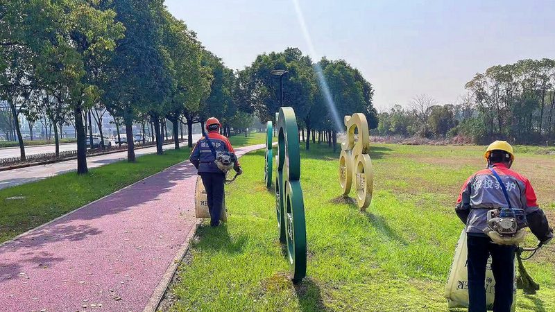 庭院常绿植物加盟，选对方案比找货源更重要