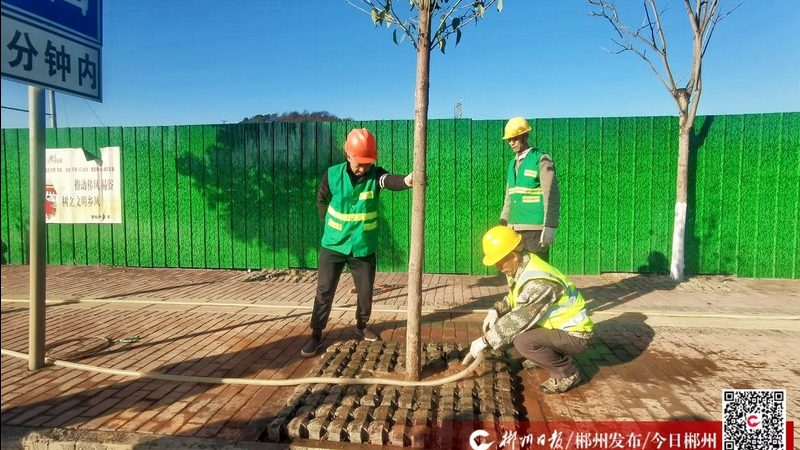 别墅花园不是越大越难设计，真正考验功力的是“分寸感