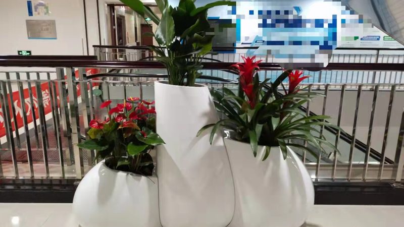 屋顶花园防水，筑牢绿色家园的根基