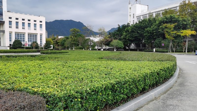 招标文件里的“坑”比想象中多